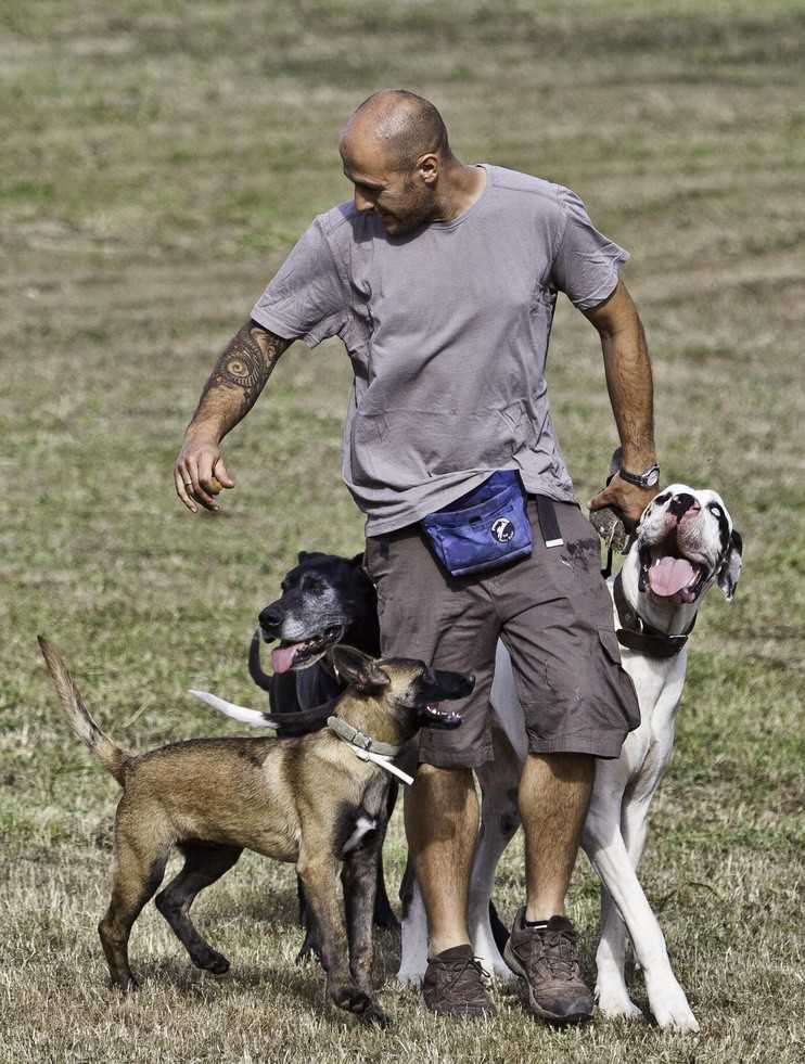 Disfrutamos de nuestros perros.